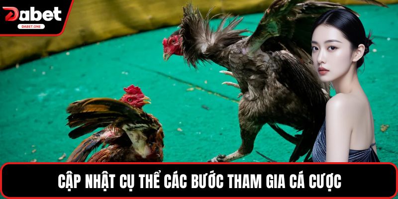 Cập nhật cụ thể các bước tham gia cá cược