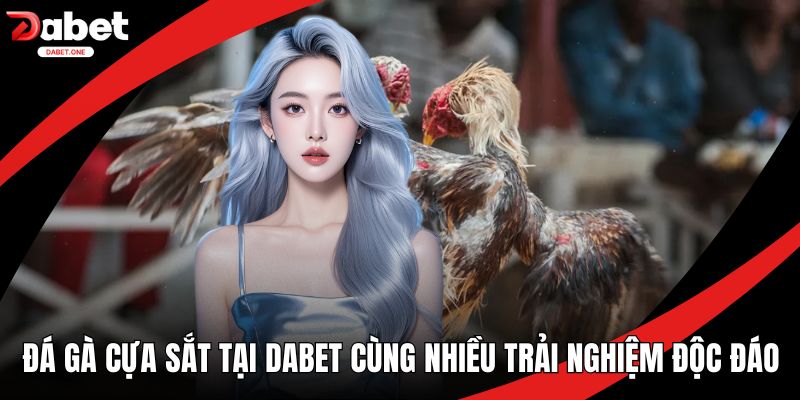 Đá gà cựa sắt tại Dabet