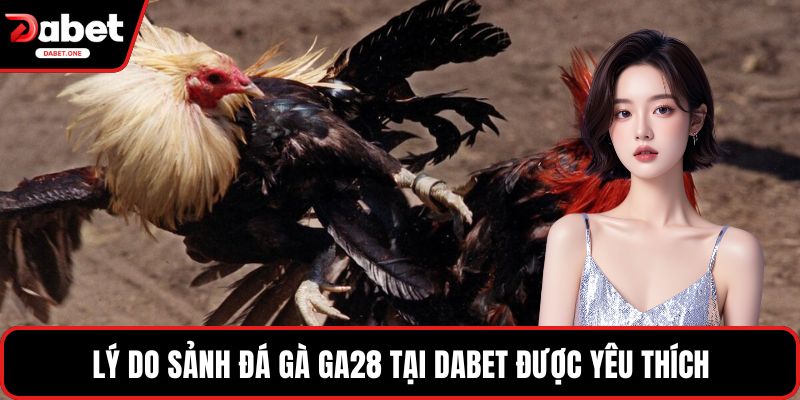 Lý do sảnh đá gà GA28 tại Dabet được yêu thích