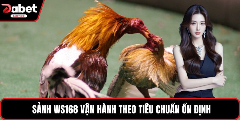  Sảnh WS168 vận hành theo tiêu chuẩn ổn định