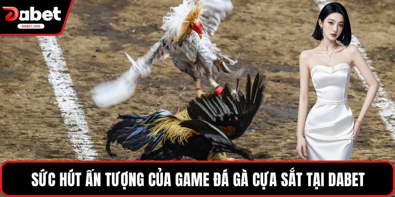 Sức hút ấn tượng của game đá gà cựa sắt tại Dabet