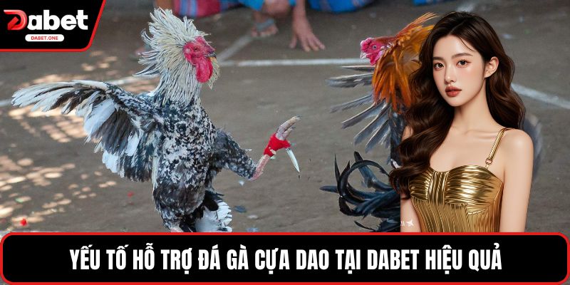  Yếu tố hỗ trợ đá gà cựa dao tại Dabet hiệu quả